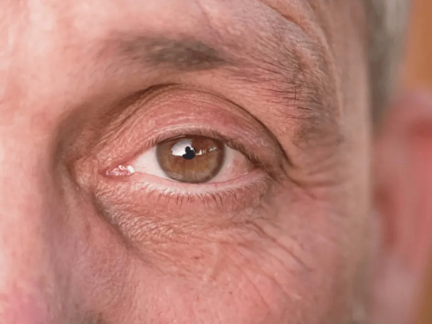 Campbelltown Optical Shop featured image